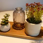 Apartment Karls B14 Gera