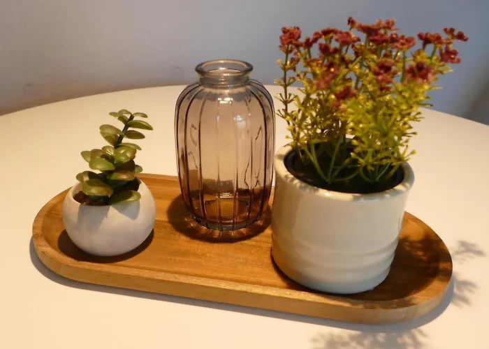 Daire Karls B14 Gera